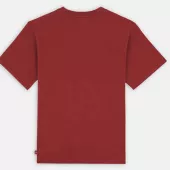 Pánské tričko DICKIES ICON LOGO T-SHIRT FIRED BRICK