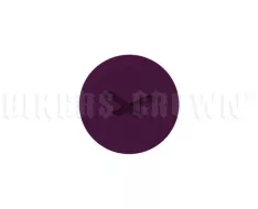 NEXX SX.10 04BOT00004 aubergine šroub