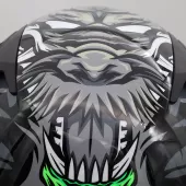 Integrální helma XRC Macudo green