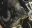 Boty na motorku Falco 120 Marshall black