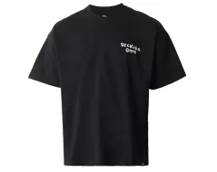 DICKIES Sneedville t-shirt black